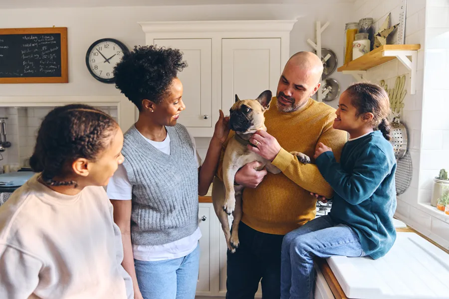 A young, mixed-race family socializing in the kitchen while the father holds up a French bulldog pet for everyone to pet.