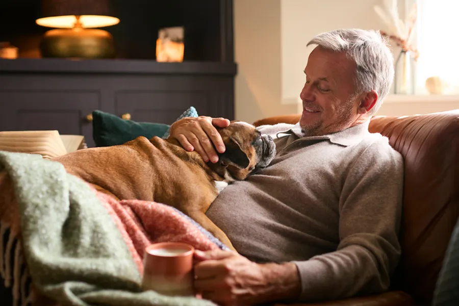 A senior man and his boxer dog cuddling on the couch, enjoying their warm home.