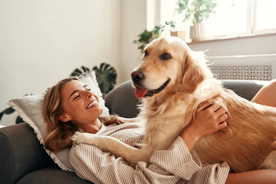 A young woman and her Golden Retriever cuddling on the couch, enjoying their climate controlled living room.